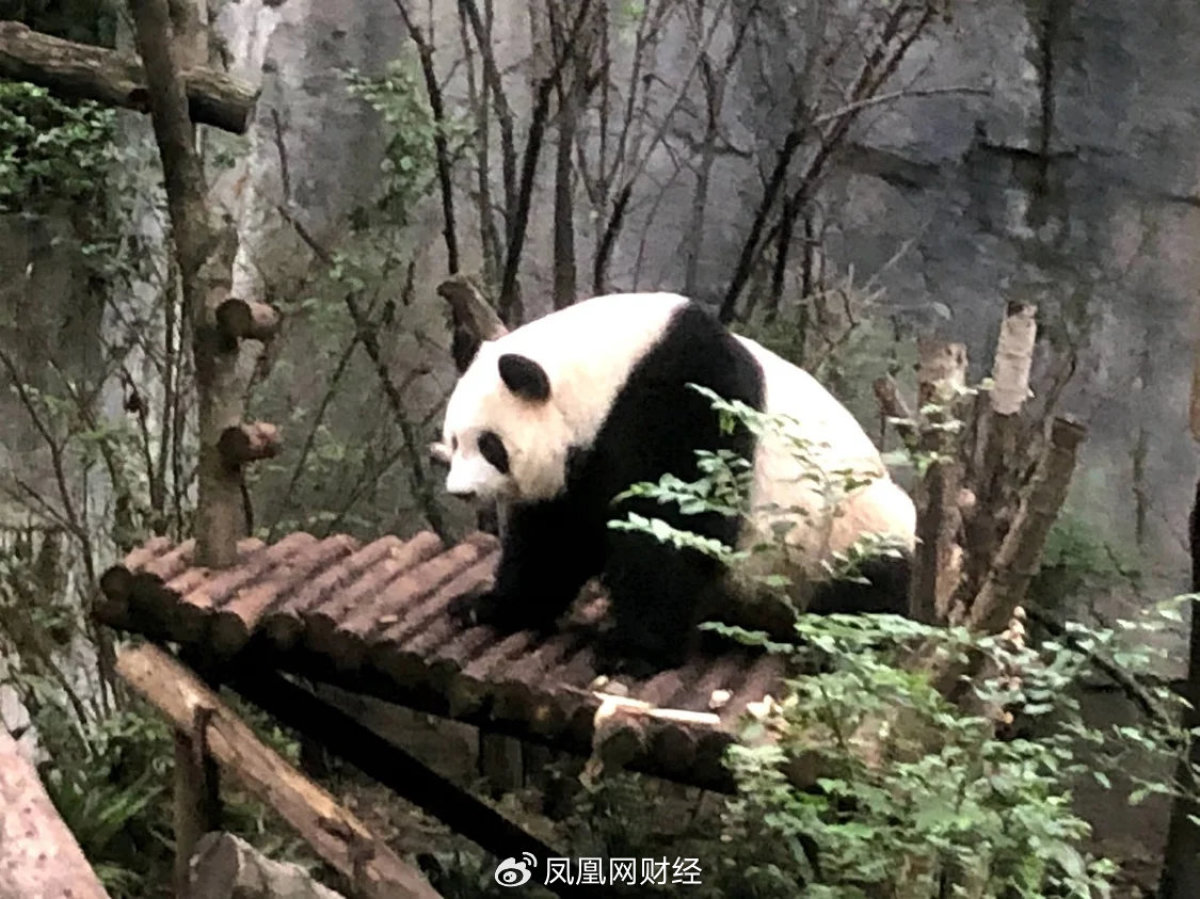 星空体育app下载：一年3次旅游开24万车还觉得不够有面这届小镇青年太敢花(图2)